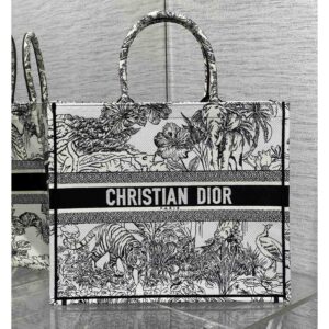Dior Book Tote