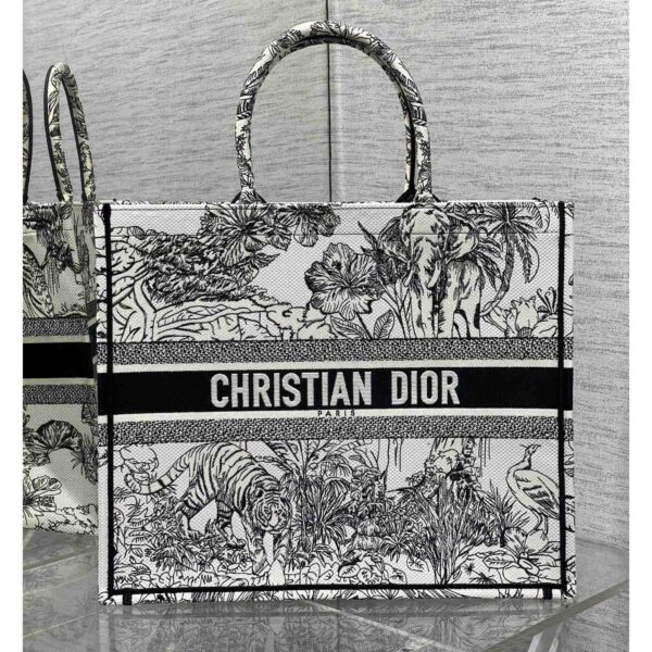 Dior Book Tote